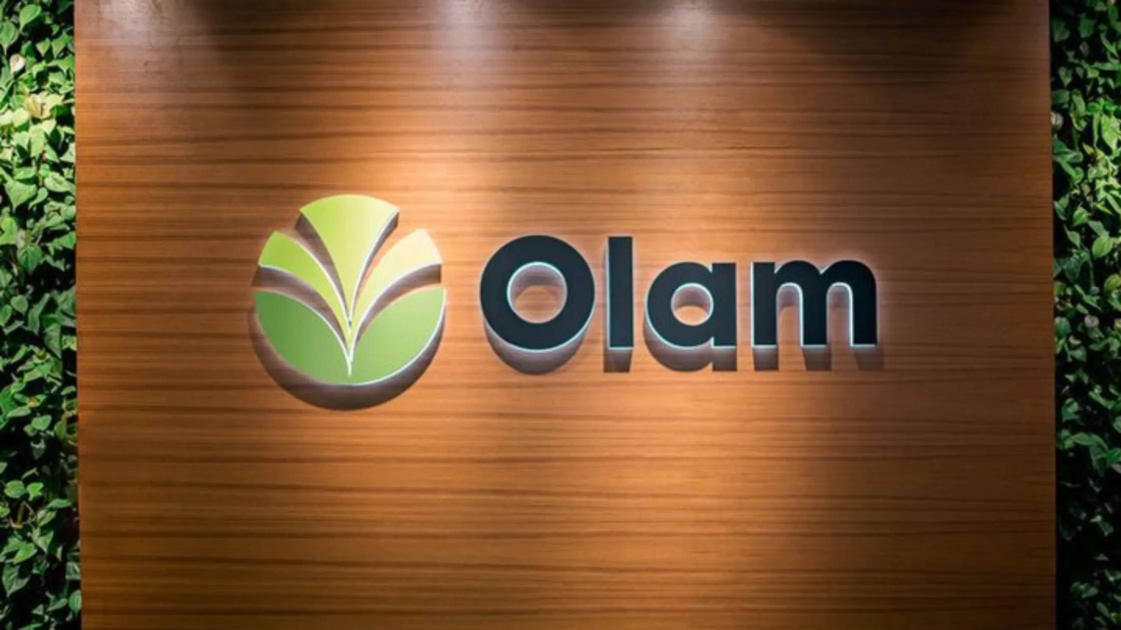势头强劲的股票：Olam Group 