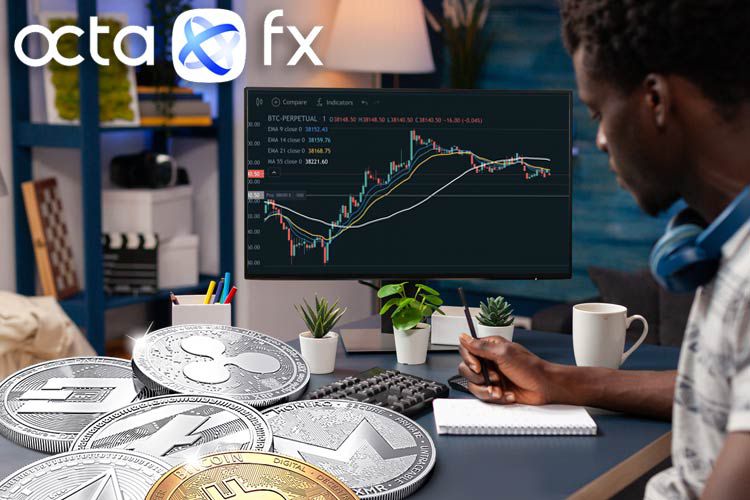 OctaFX Trading Novice Guide