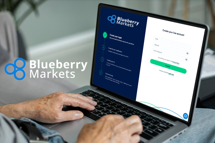 Blueberry Markets 账户开设指南