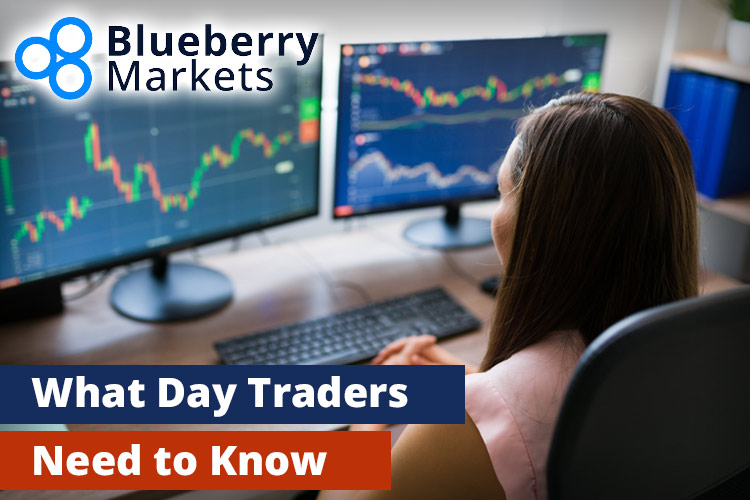 Blueberry Markets 日间交易