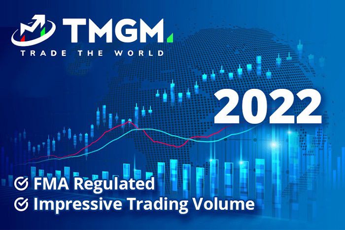 外汇经纪商 TMGM 2022 年表现如何