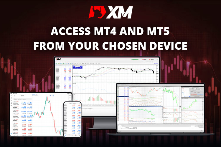 哪个 XM 交易平台最适合您？