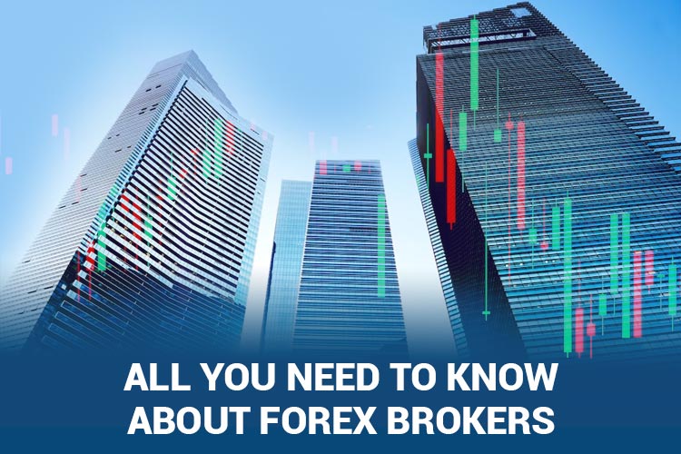 How important is it to choose the right forex trader and how to choose？