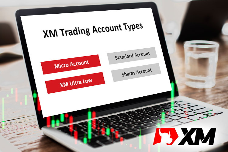 XM 有哪些类型的账户？