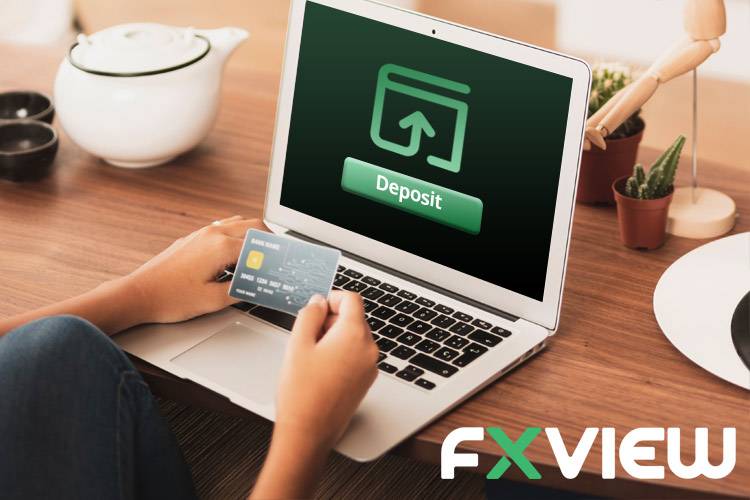 如何从 Fxview 存取款？