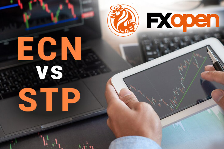 FXOpen 账户比较：ECN 账户 vs STP 账户