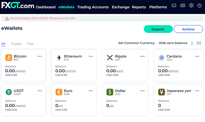 FXGT Withdraw 2