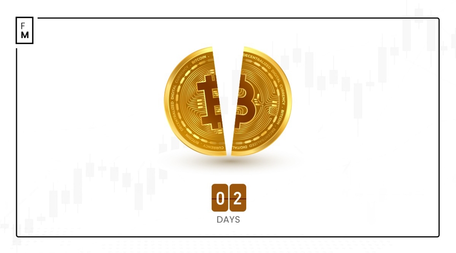 Bitcoin Halving Countdown: Why Price Soaring Is Not Guaranteed