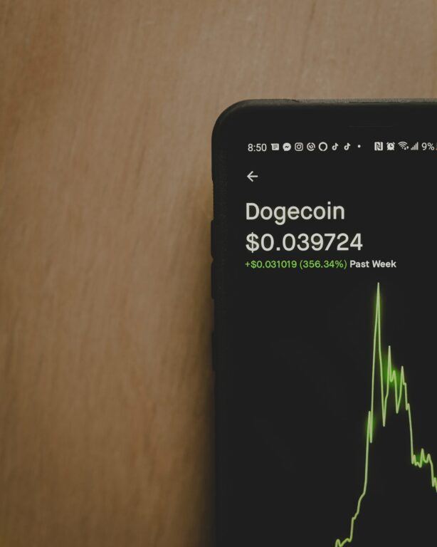 鲸鱼警报：Robinhood撤回价值4570万美元的2亿DOGE巨额交易