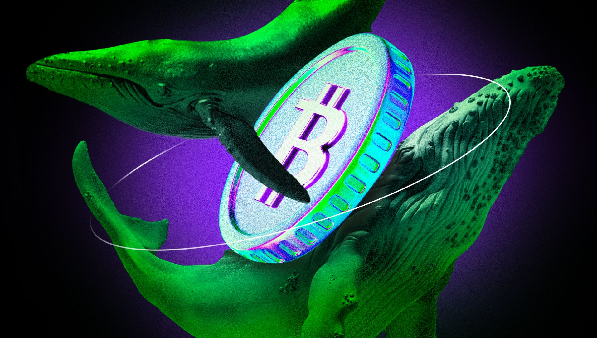 比特币鲸鱼以12.5亿美元的超流动性长期押注翻倍