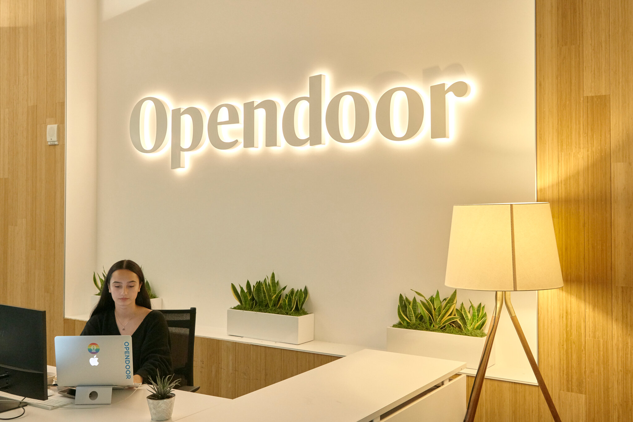 OPendoor 株が 20% 前市場急騰 — ブームまたはバスト先 ？