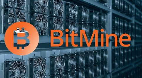 Bitmine が $365 M を調達すると株式は暴落 — しかし一部の人々はマイクロストラテジースタイルのランの匂いを嗅ぐ