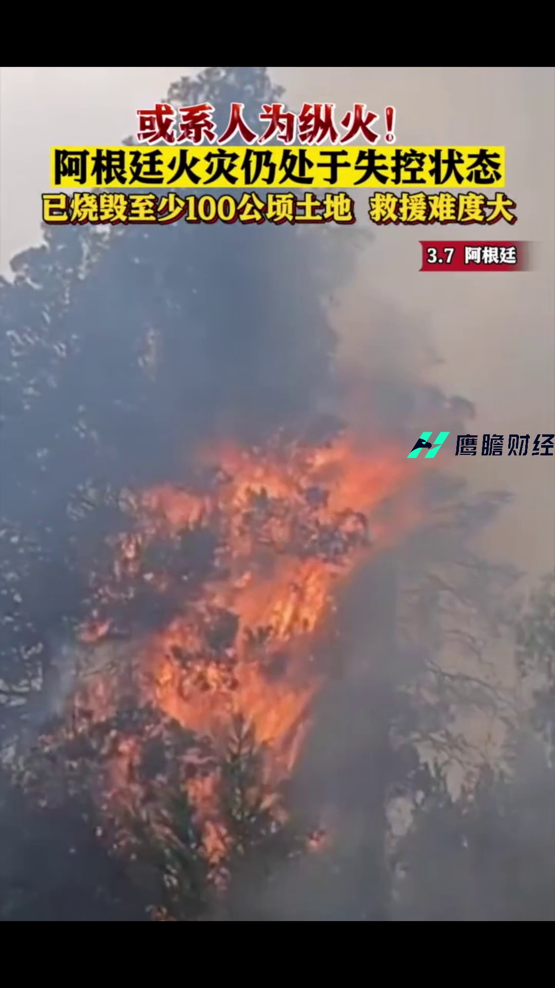 或系人为纵火！阿根廷火灾仍处于失控状态 已烧毁至少100公顷