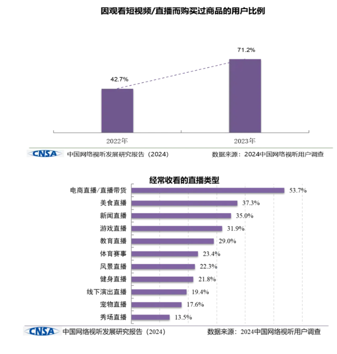 Research Report on the Development of China's Internet Audiovisual Industry (2024)