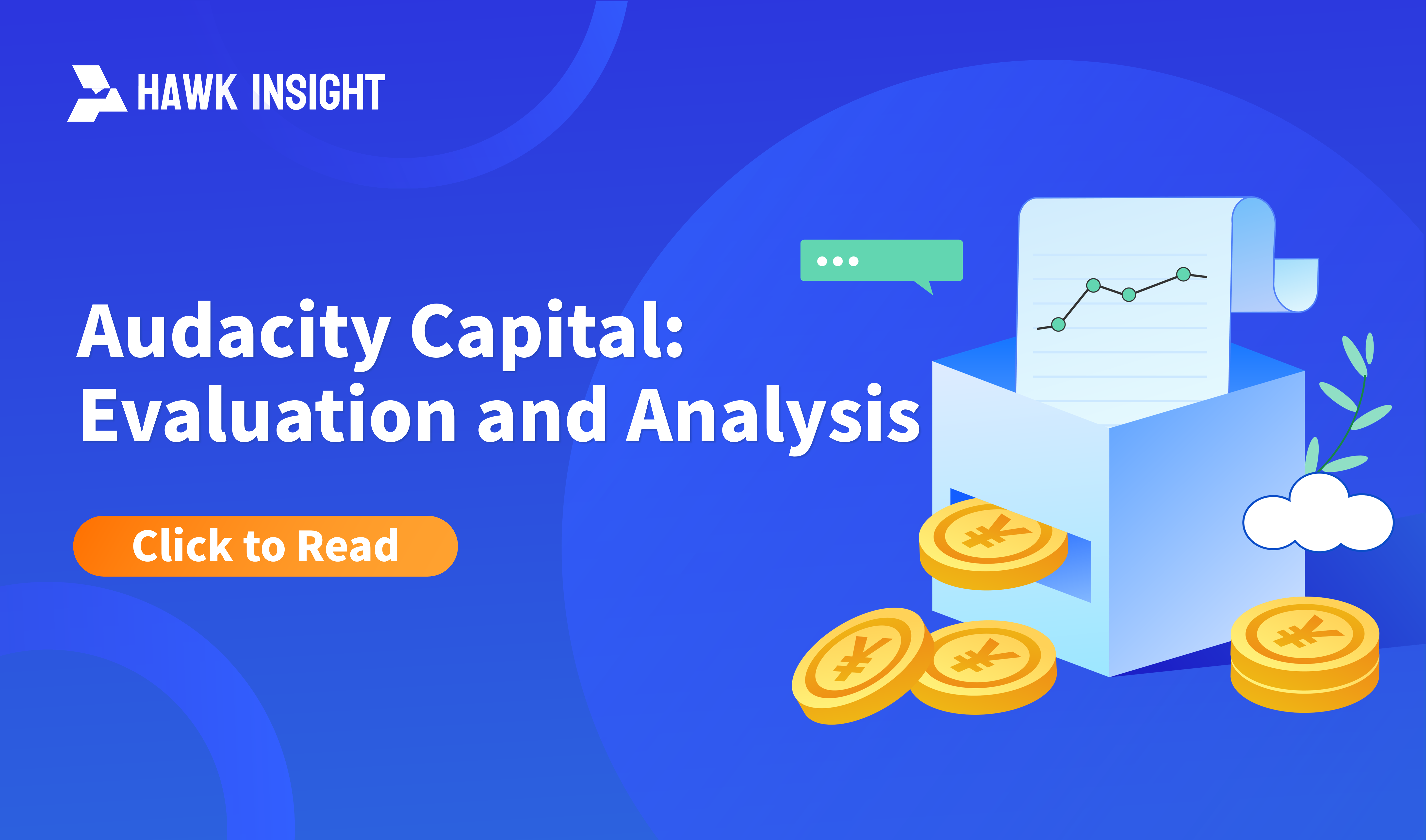 Audacity Capital: Evaluation and Analysis