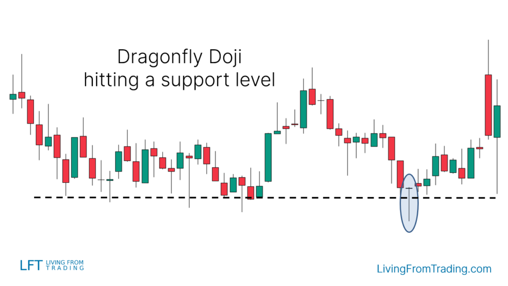 Trading the Dragonfly Doji with Support Levels