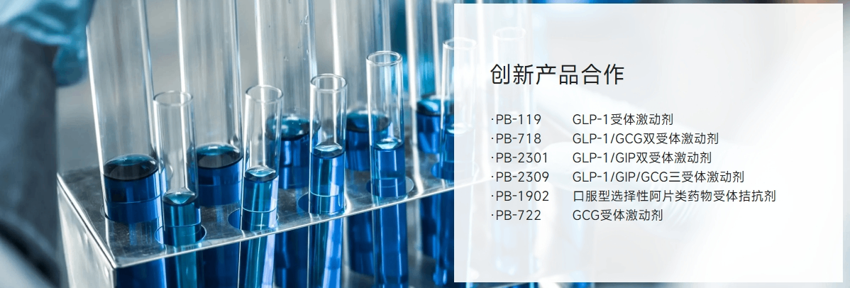 港股打新|派格生物医药-B,除了搏回拨,还有什么亮点?